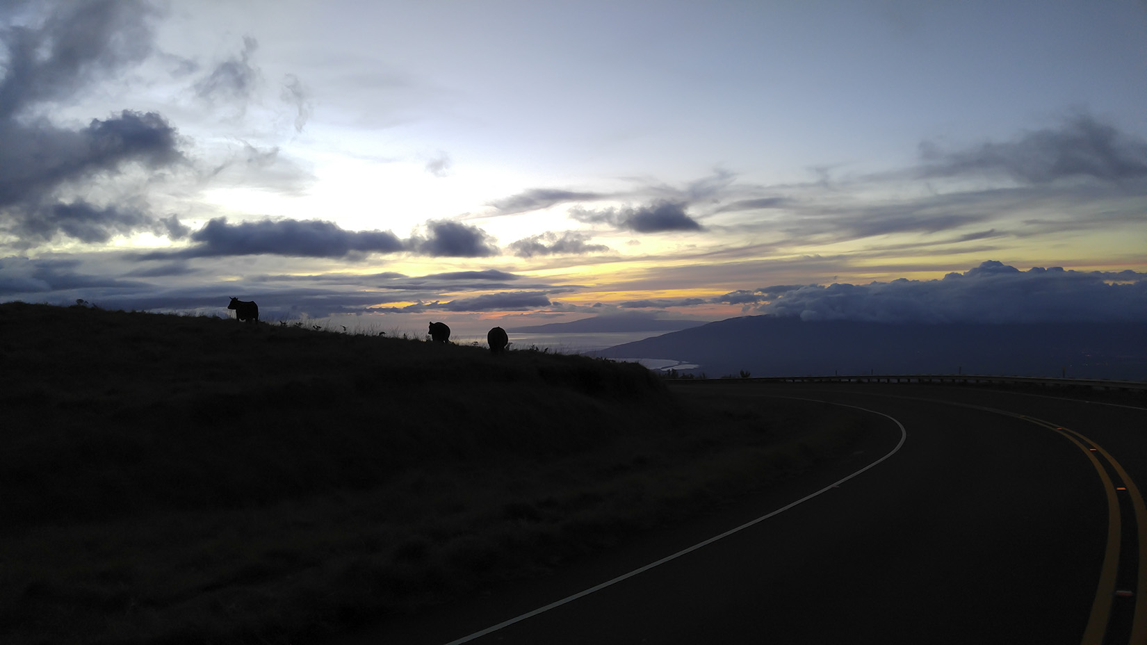 DownHaleakala