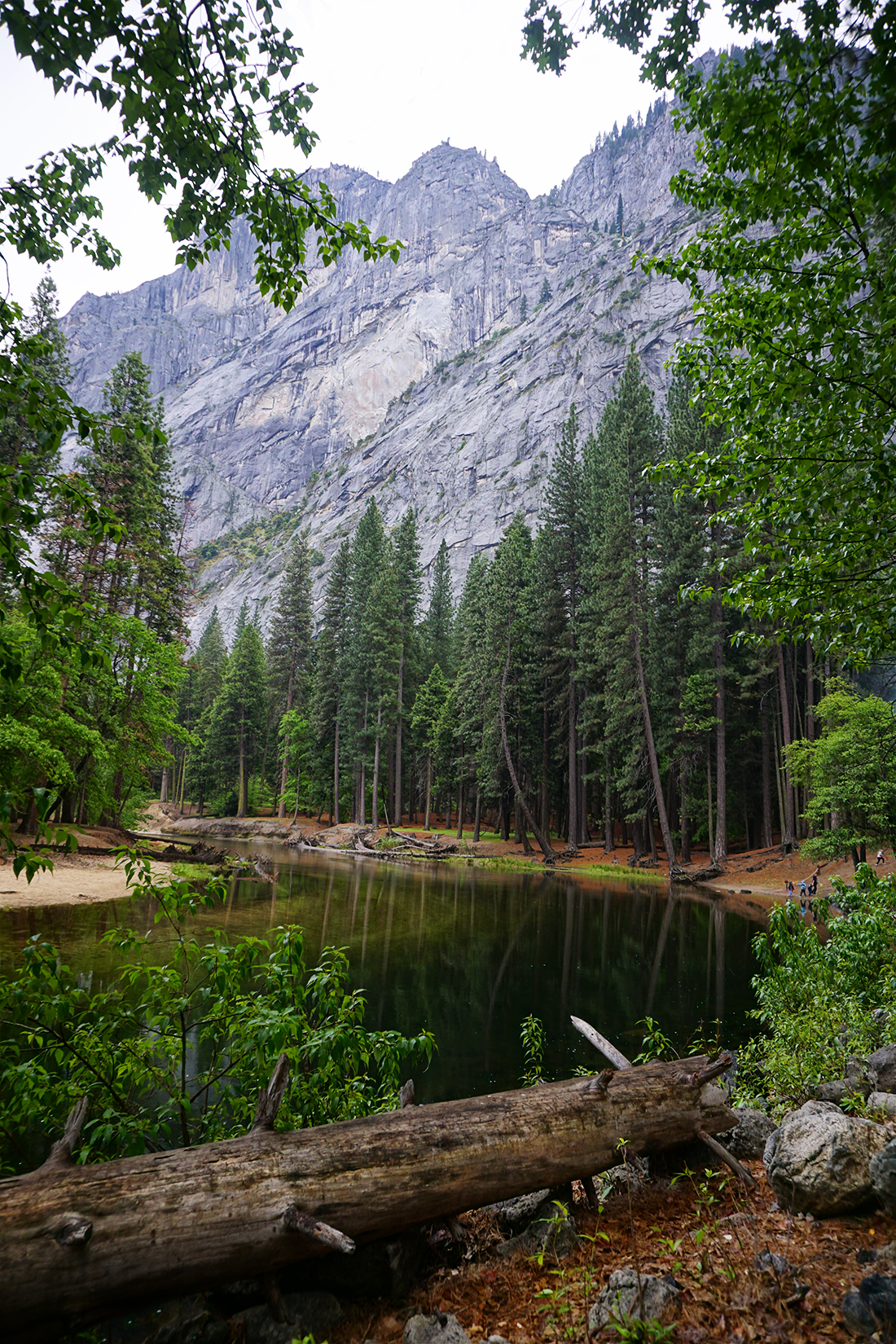 National_Forest_2